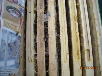 DSCN1898.JPG