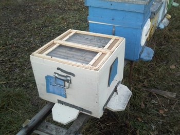 Stupi (9).jpg