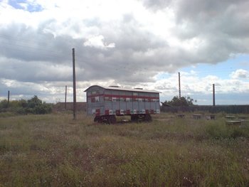 DSC09059 (Copy).JPG