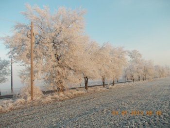 Mal salaj 001.JPG