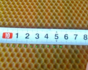 33.JPG