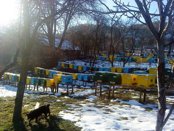 DSC00598_resize.JPG