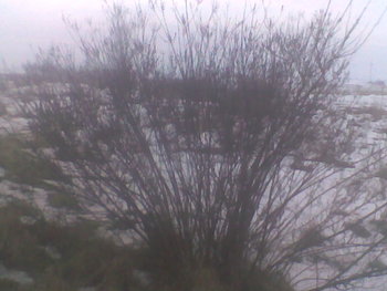 Dec 2012040.jpg