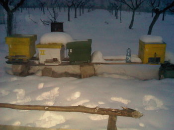 rsz_img00068-20121220-1704.jpg