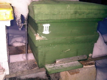 rsz_img00069-20121220-1704.jpg