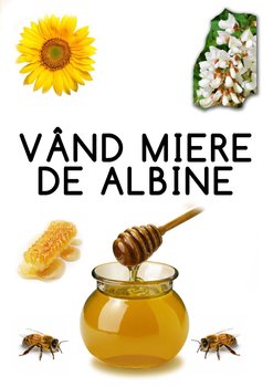Pliant anunt - general..jpg