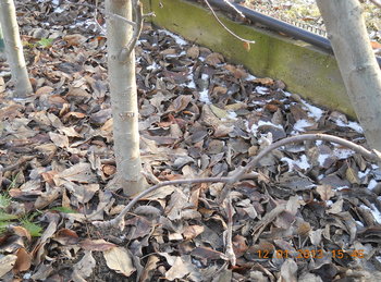 rsz_2picture_046.jpg