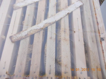 rsz_picture_013.jpg