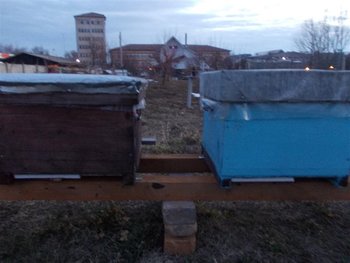 mosu 069 (Medium).jpg
