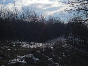 DSCN0228.jpg