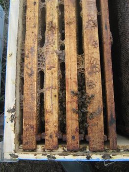IMG_6232 (Small).jpg