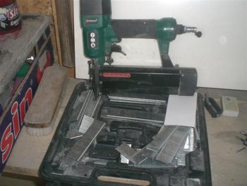 CIMG3129 (Medium).JPG