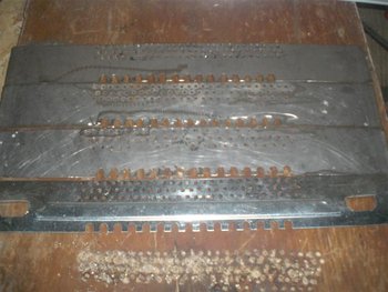 CIMG3131 (Medium).JPG