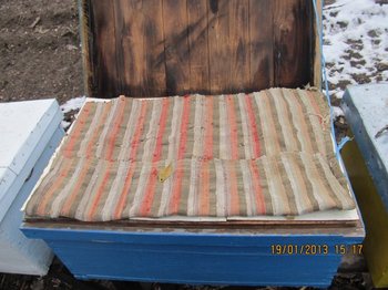 IMG_2539.jpg