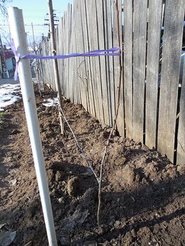 DSCN0191.jpg