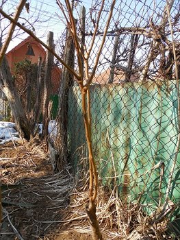DSCN0213.jpg