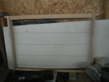 CIMG3143 (Large).JPG