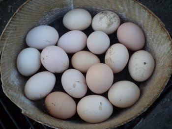 DSC01350 (Small).JPG
