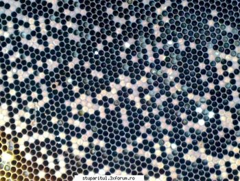 ok_61085 (Copy).jpg