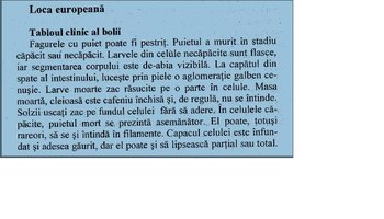 Loca europena descriere W. Ritter pg 68.JPG