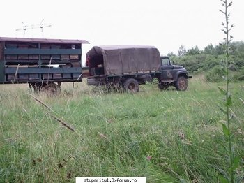 camion.jpg