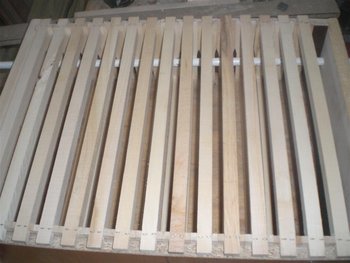 CIMG3163 (Large).JPG