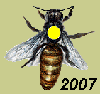 Queen-ID-Colors.jpg[1].gif