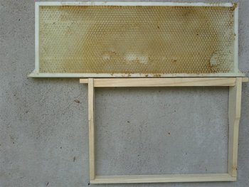20121020_135228 (Medium).jpg