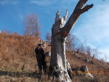 Mal salaj 009.JPG