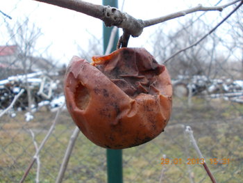 rsz_picture_004.jpg