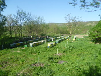 file01217.JPG