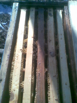 Imag009.jpg