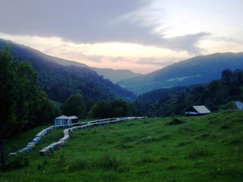 100_9587.JPG