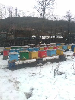 IMG-20130202-WA0000.jpg