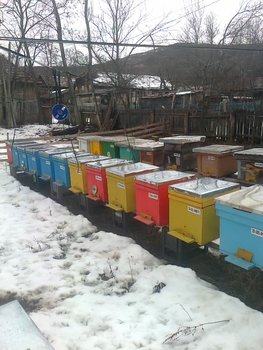 IMG-20130202-WA0001.jpg