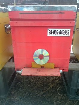 IMG-20130202-WA0002.jpg