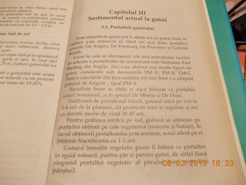 rsz_picture_088.jpg