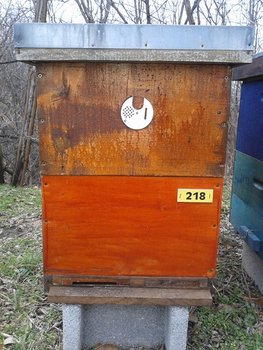 2013-02-12 15.45.26 (Copy).jpg