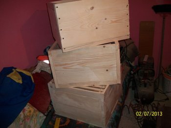 Picture 004.jpg