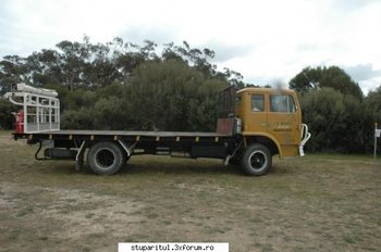 camion7.jpg