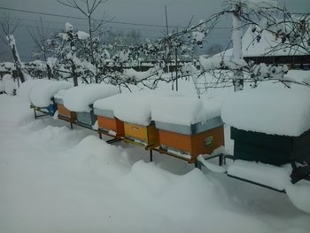 2012_12_09_15_56_32.jpg