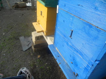 Picture 007.jpg