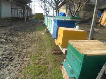 Picture 003.jpg