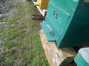 Picture 006.jpg