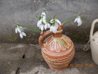 STUPINA LUI FLORINELU 010.JPG