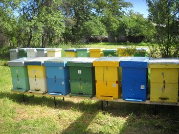 DSCN5044 (Medium).jpg