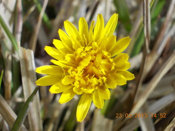 rsz_picture_105.jpg