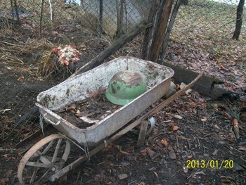file (10).jpg