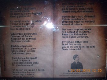 stupina lui florinelu 001.JPG