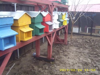 IMG_4090 (Medium).JPG